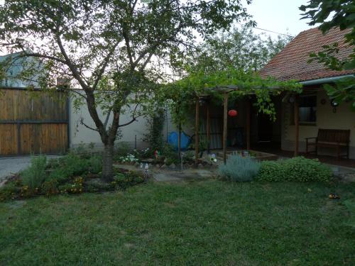 a yard with a tree and a house at Alföldi Vendégház in Hódmezővásárhely