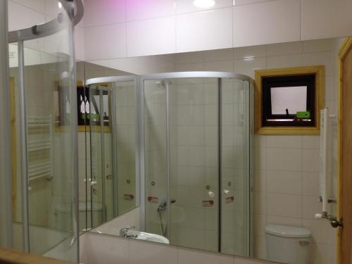 a bathroom with a glass shower and a toilet at Canquen Patagonia in Punta Arenas