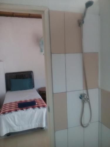 a bedroom with a bed and a shower at Izaac's Bed & Breakfast in Lovina