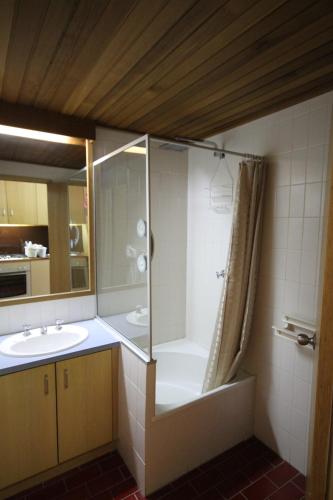a bathroom with a shower and a sink at Arlberg Hotham in Mount Hotham