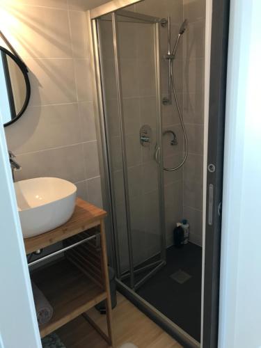 une salle de bain avec douche et lavabo dans l'établissement F2 STANISLAS, à Nancy