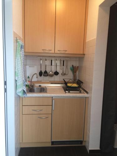 a small kitchen with wooden cabinets and a sink at Ferienwohnung-Putz in Altreichenau