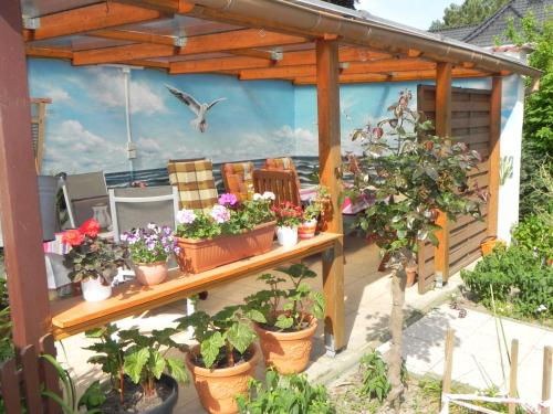 a pergola with potted plants on a patio at Ferienunterkuenfte Schulz in Ahlbeck