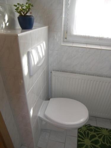 a bathroom with a toilet and a plant on a shelf at Ferienunterkuenfte Schulz in Ahlbeck