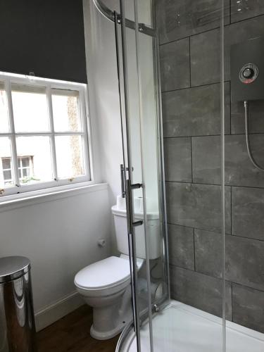 a bathroom with a toilet and a shower at Royal Mile Balconies by the Castle in Edinburgh