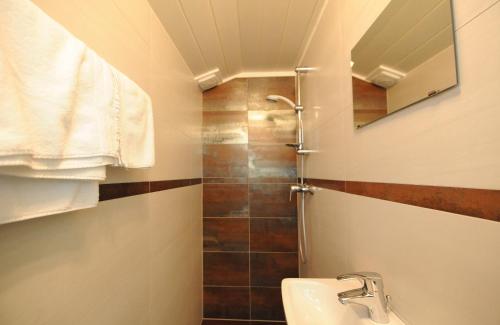 フィーホーフェンにあるAppartement Dürlingerの洗面台と鏡付きのシャワーを備えたバスルーム