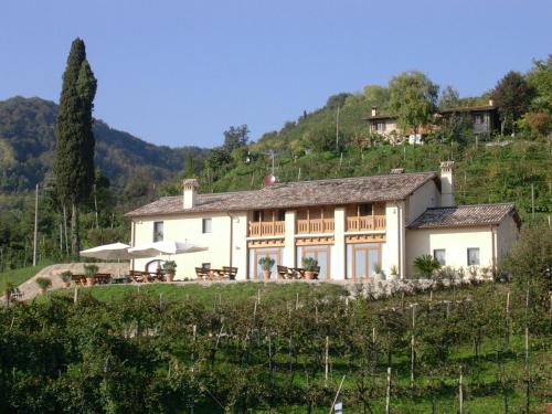a large white house on a hill with trees at Agriturismo Al Credazzo in Farra di Soligo