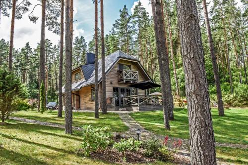 a cabin in the woods with trees at Vila Tauragnas in Varniškės I