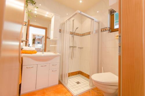 a bathroom with a shower and a toilet and a sink at Ferienwohnung Schreilechner in Mauterndorf