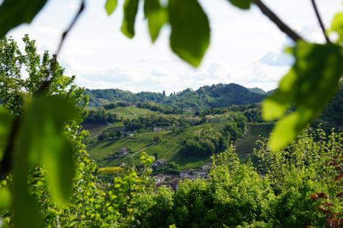 Tenuta Castagnera – عکس‌ها 5