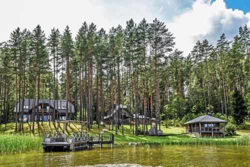a resort with a lake and trees in the background at Vila Tauragnas in Varniškės I