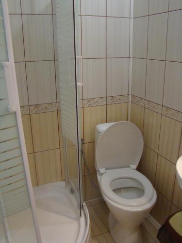 a small bathroom with a toilet and a shower at Sadyba Margaryta in Truskavets