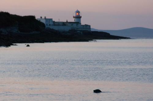 Galeriebild der Unterkunft Glanleam House in Valentia Island