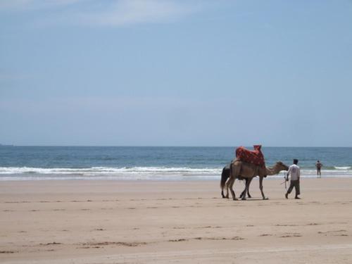 a couple of people and a horse on the beach at Appartement Luxe Marina Agadir in Agadir