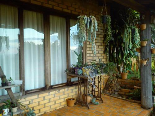 a room with windows and a table with potted plants at Pousada Longe Vista in Tibagi