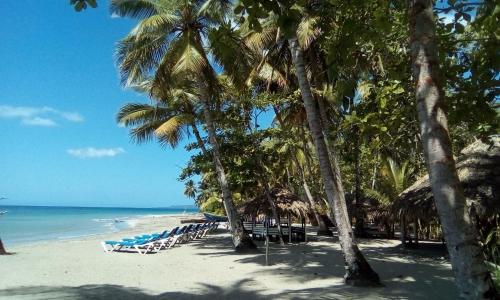 a beach with chairs and palm trees and the ocean at Playa Paraiso en Magante in La Yagua