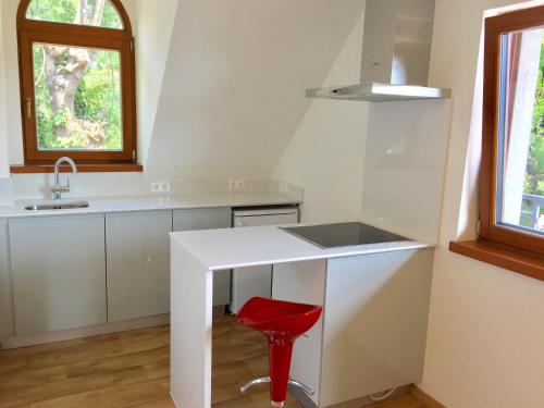 Kuchyň nebo kuchyňský kout v ubytování Apartman Diófa