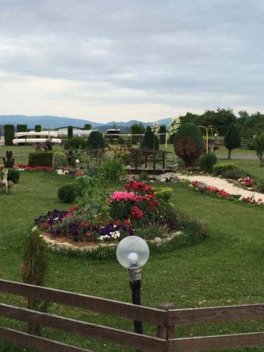 Κήπος έξω από το Bed and Breakfast Albatros
