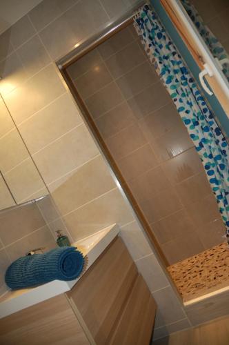 a shower with a glass door and a blue hose at L'Horizon des Landes in Doazit