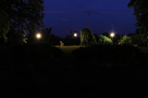 a night view of a park with trees and lights at Kasztelania Pod Lipami in Zakroczym