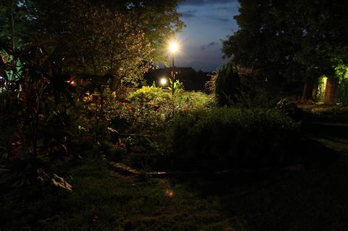 a garden at night with a light in the background at Kasztelania Pod Lipami in Zakroczym