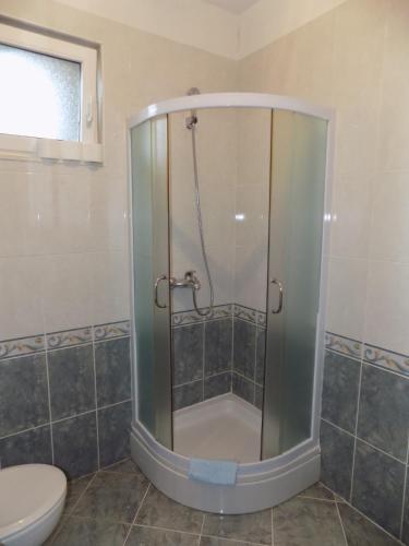 a glass shower in a bathroom with a toilet at Apartment Štrbić in Ploče