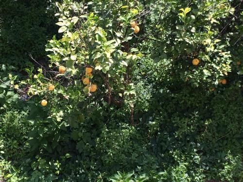 Sicily Holidays – Photos 2