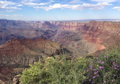 a view of the grand canyon from the south rim at Grand Canyon Plaza Hotel-South Rim in Tusayan