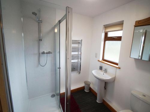 a bathroom with a shower and a sink at LLanddewi Retreat in Llanddewi Ystradenny