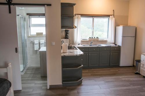 La cuisine est équipée d'un réfrigérateur et d'un évier. dans l'établissement The Fig Boutique Suites, à Salir de Porto