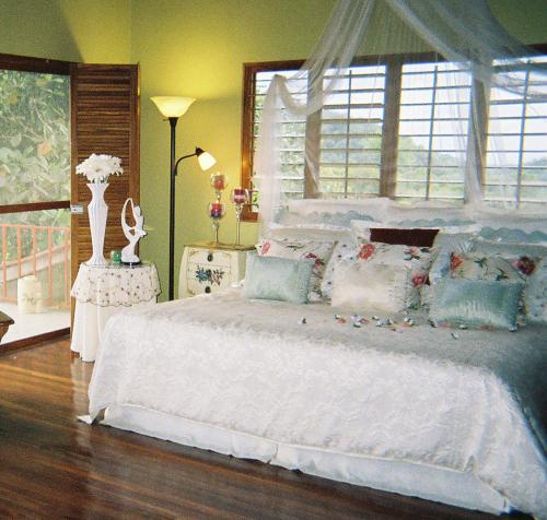 ein Schlafzimmer mit einem großen weißen Bett und einem Fenster in der Unterkunft Light of Dawn in Quepos