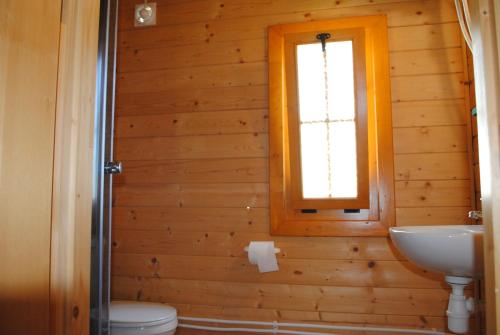 a bathroom with a sink and a toilet and a window at Jaskolcze Gniazdo in Dziwnówek