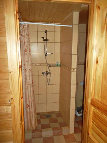 a bathroom with a shower with a shower curtain at Kotka Housing-FreeParking in Pärnu