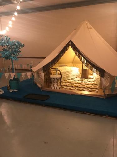 Fotografie z fotogalerie ubytování Lone Star Glamp Inn v destinaci Warrenton