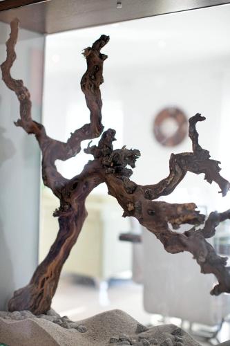 a tree branch in a rock in a room at Villa Gellia in Ugljan