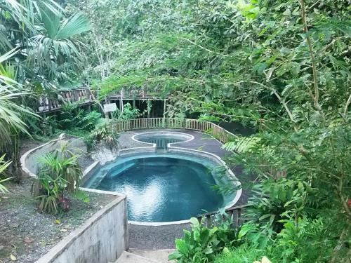 努基的住宿－Cabañas Refugio Salomon，花园内的一个小型游泳池,花园内种有树木