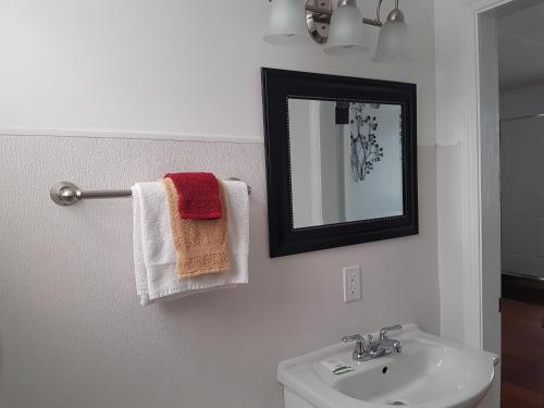 
a bathroom with a sink, mirror, and towel rack at Flamingo Motel in Cranbrook

