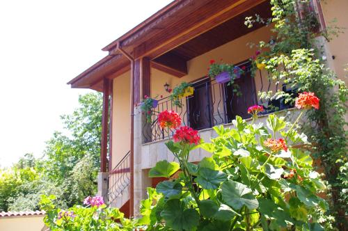 Zahrada ubytování Complex Diana