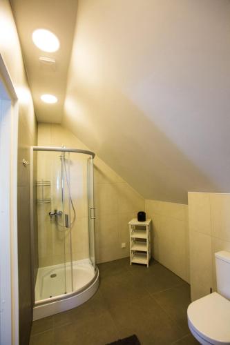 a bathroom with a shower and a toilet at Haapsalu Old Town Apartments in Haapsalu