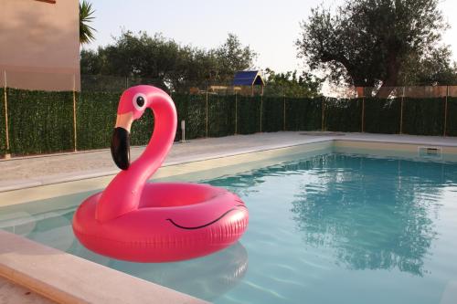 Piscine de l'établissement villa la Scaletta ou située à proximité