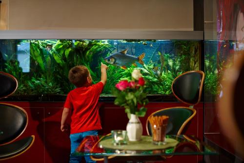 a young boy standing in front of an aquarium at Hotel Concorde in Munich