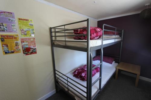 a room with two bunk beds with pink donuts at Skye Backpackers in Kyleakin