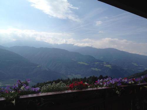 a view of a mountain valley with purple flowers at Zehrehof in Bressanone