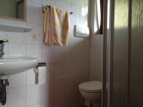 łazienka z toaletą i umywalką w obiekcie Zehrehof w mieście Bressanone