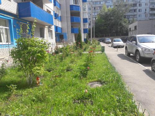 Zahrada ubytování Apartments on Rodnikovoy