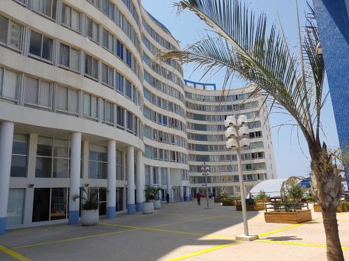 a palm tree in front of a building at Apartment Ben Gurion in Bat Yam