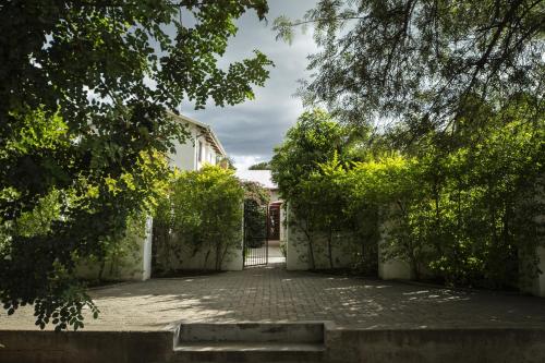 Κήπος έξω από το Out of Africa Guesthouse