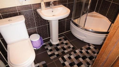 a bathroom with a toilet and a sink at Villa Sosnovy Bor in Zatoka