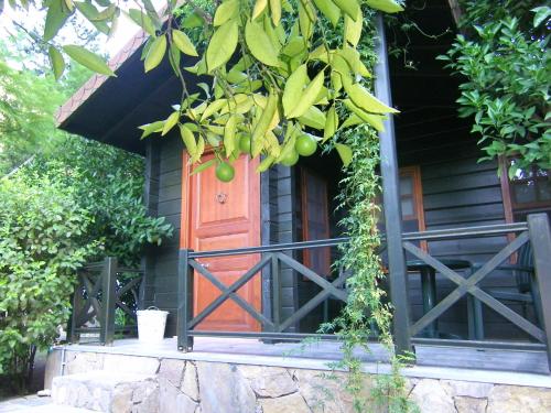 a house with a red door and a tree with fruit at Portalimo Lodge Hotel - Adult Only +12 in Cıralı
