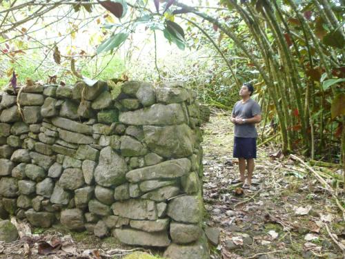 a man standing next to a stone wall at Le Relais de la Maroto in Pirae